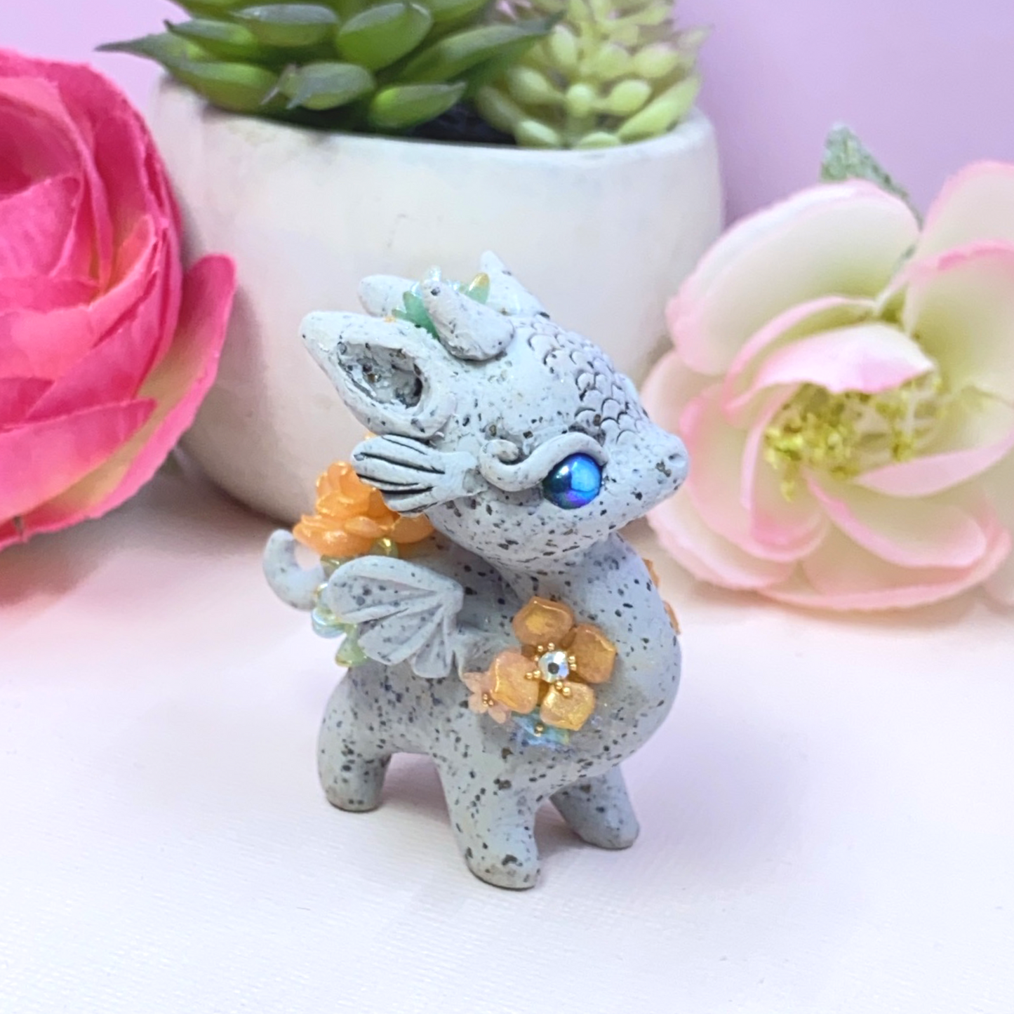 Stone Dragon Multicolor Succulents
