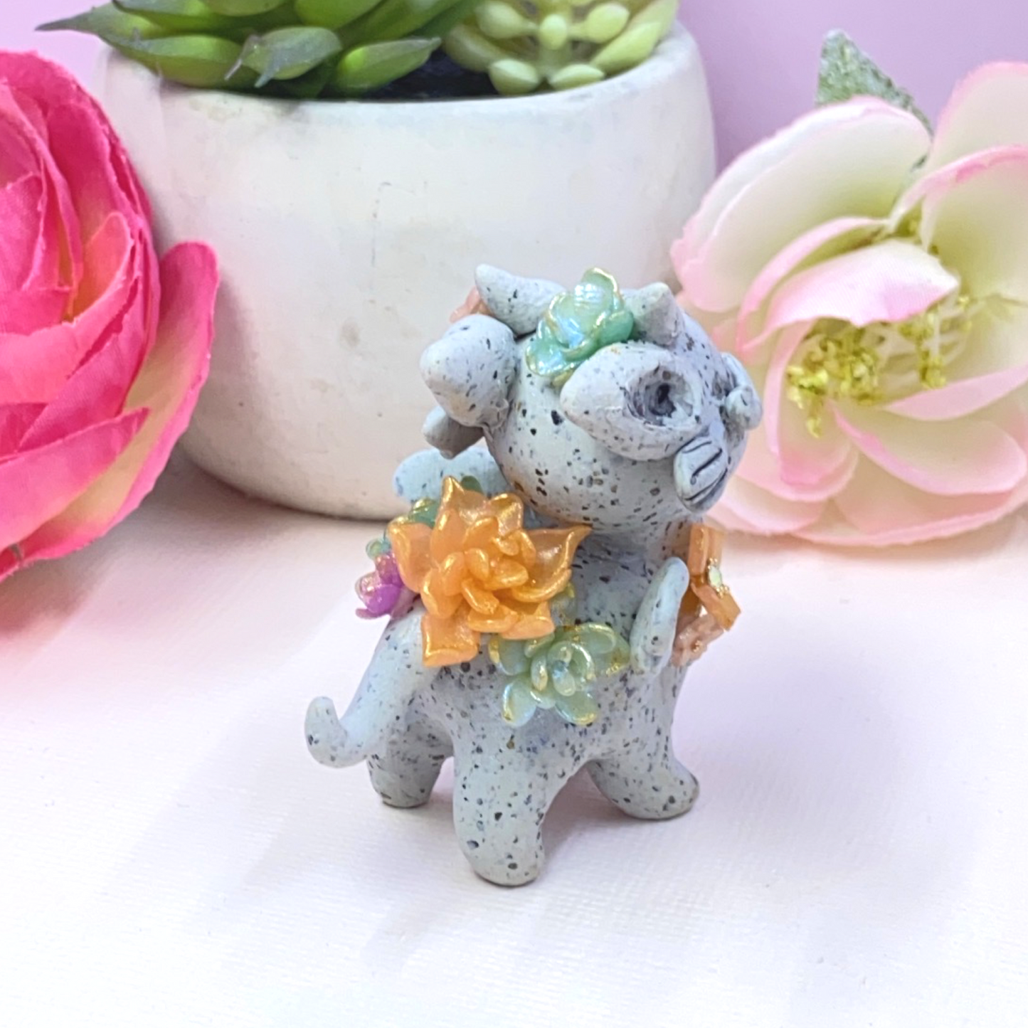 Stone Dragon Multicolor Succulents