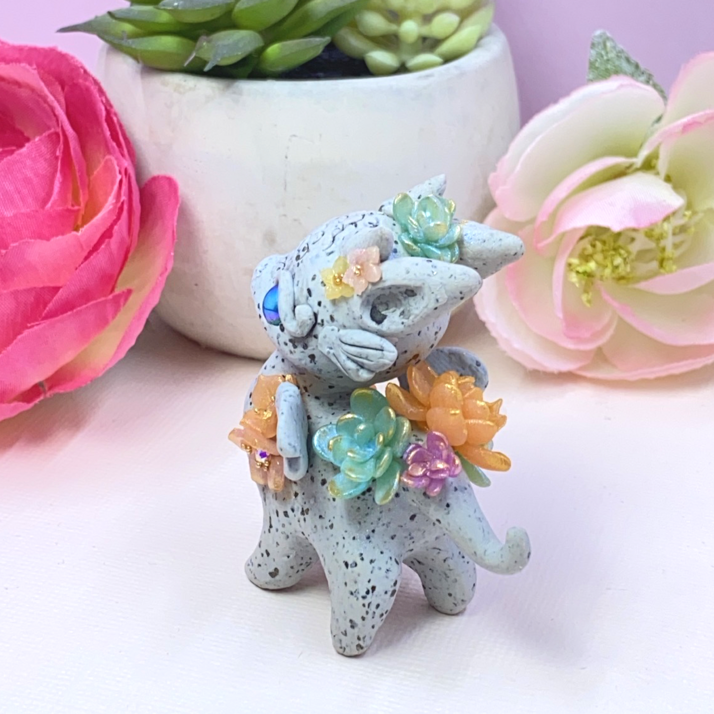 Stone Dragon Multicolor Succulents