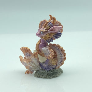 Seashell Dragon Fry