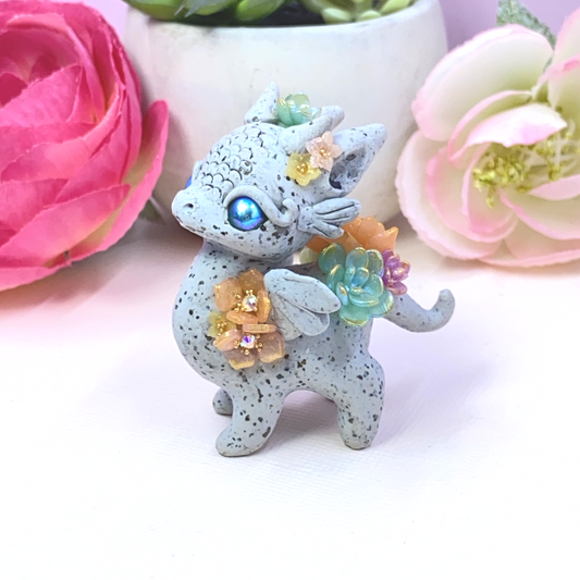 Stone Dragon Multicolor Succulents
