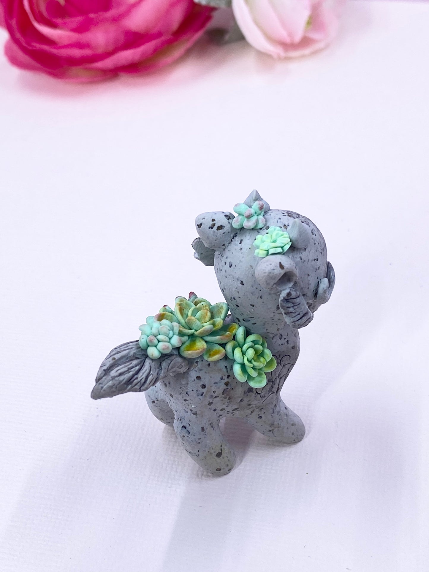 Short Tail Stone Dragon Green Succulents